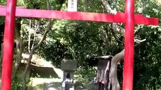 Small Shinto Shrine in Japan