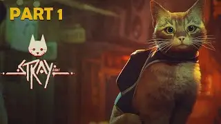 STRAY SLUMS WALKTHROUGH/GAMEPLAY | B-12 | NO COMMENTARY PART 1
