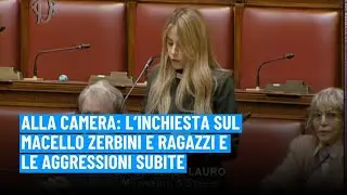 Alla camera parlano della nostra inchiesta sul macello Zerbini e Ragazzi e delle aggressioni subite.
