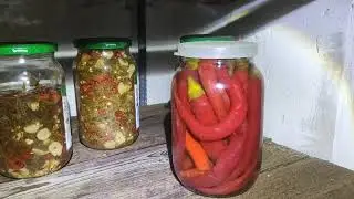 Как я борол лень