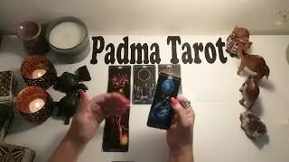 Libra You will find your absolute bliss Mid May 2022 Psychic Tarot Reading