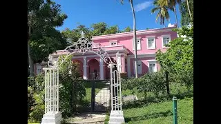 save a gato San Juan PR