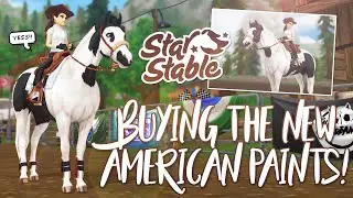 Buying the NEW American Paint horses! | Star Stable Updates