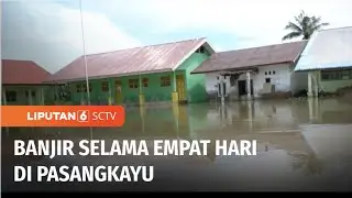 Banjir Merendam Sejumlah Desa di Pasangkayu Selama Empat Hari, Warga Masih Mengungsi | Liputan 6