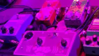 philip sayce pedal board and amp video 2024 UK tour
