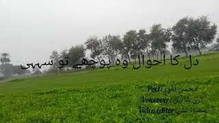 #DillkaEhwal  #mohsinNaqwi #ShaziaManzoor|pipll di chaa vy| #sumairaAli #kiranShaheen