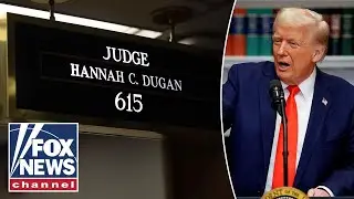 'CRAZY BEHAVIOR': Federal judge accused of helping migrant evade ICE