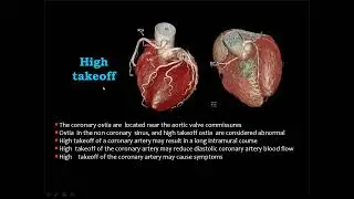 Cardiac imaging XIII -Chronic heart disease I  - Prof  Mamdouh Mahfouz