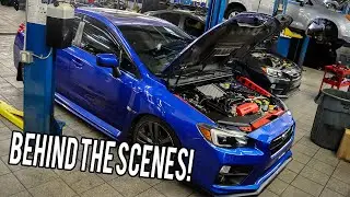 Hanging out at Subaru Dealership! Oil Change Feat The Best Subaru Mechanic