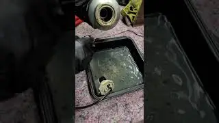 Dirty Diesel Filters