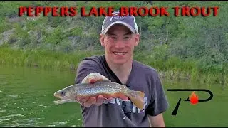 Trout Fishing Alberta's Peppers Lake