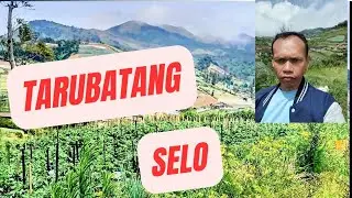 Tomsu Rarubatang Selo