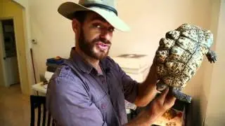 Best Advice for Sick Tortoise : Kamp Kenan S1 Episode 18
