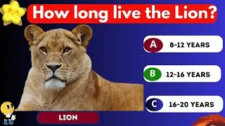Guess the Lifespan! 🦁🐘 How Long Do Animals Live? | Fun Quiz!/English Vocabulary🔎