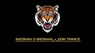 BADSHAH O BADSHAH &times; EDM MIX &times; DJ ROHIT &times;  &times; DJ ROHIT OFFICIAL