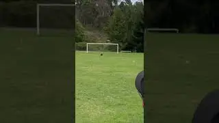 Cuando tienes a un perro portero 😅 #dog #perros #perrosdivertidos