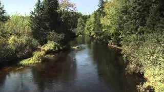 Celebrating National Forest Week 2013 in PEI, September 22-28
