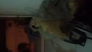 Miren mis atajadas