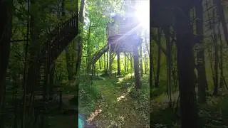 🌳🛀🛌PETIT WEEKEND EN AMOUREUX A DORMIR DANS UN ARBRE AU COEUR DE LA FORET