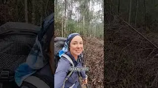 Australian Alps Walking Track - Day 31