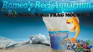 Marco Rocks Makes Frag Mounts? YESSSSSSS!!!