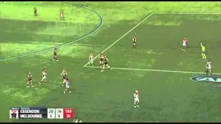 Optimism, thy name is Brian Taylor