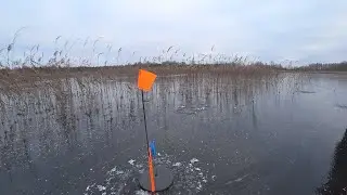 ЧУТЬ НЕ УТОНУЛИ! ПЕРВЫЙ ЛЕД БЕЛАРУСИ! СТАВКИ ГОРЯТ ОДНА ЗА ОДНОЙ! РЫБАЛКА НА ТОРФЯНИКАХ!