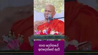 නාග ලෝකයේ ඉපදෙන්න හේතුව#bana #welimada_saddhaseela_thero #budu_bana #dharmadeshana