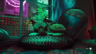 Stray (2022) - PLEASE MAKE PART II (Mission: Find Clementine)