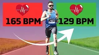 ¿ENTRENAS en ZONA 2? Entonces tienes que ver esto