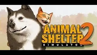 I Tried Running a Virtual Pet Shelter and THIS Happened!