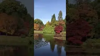 Amazing autumn colours st Sheffield Park Garden