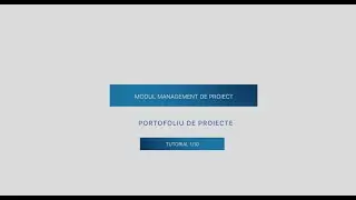Management de proiect - Portofoliu de proiecte
