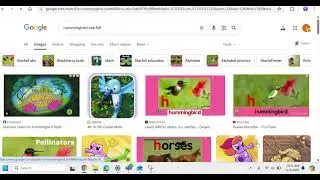 hummingbird the movie