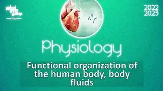 L1, Functional organisation of human body and body fluids, Physiology