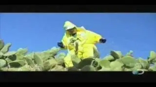 Safety Third