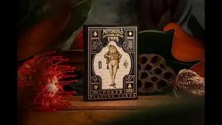 The Golden Notorious Gambling Frog Playing Cards #unboxing #rareplayingcards #playingcards