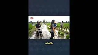 #absmusik  #geminiveo3