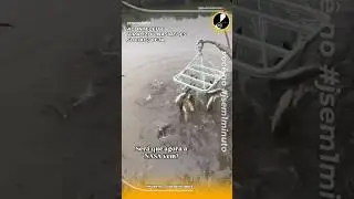 PESCA INOVADORA; VEJA