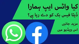 WhatsApp&rsquo;s Privacy Policy Explained|PTA