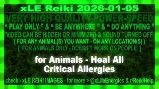 xLE Reiki | for Animals - Heal All Critical Allergies