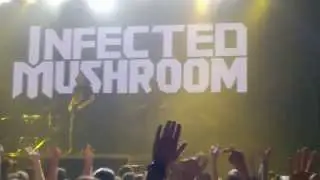 Infected Mushroom  -  Sa'eed