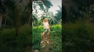 Tiktok Compilation  #braveprincess
