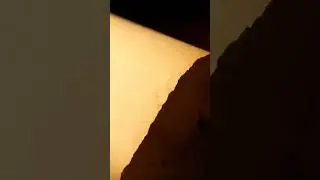 ASMR Old Book Page Turn 📖