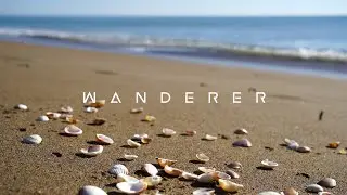 1 Hour Secluded Beach Ambience | Relaxing ocean wave sounds | Seagulls chirping | No music