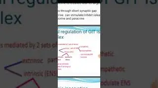 regulatory mechanisms in GIT