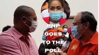 PNP Presidential Elections November 7 2020