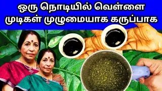 1 நொடியில்😍💯 வெள்ளை முடிகளை முழுமையாக கருப்பாக்கும் இன்ஸ்டன்ட் ஹேர் டை 💙🕳️ Instant Natural hairdye
