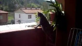 la garritta!!!!