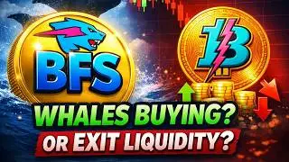BFS COIN CRASH 96% | WHALES BUYING OR EXIT LIQUIDITY? LIVE DATA ANALYSIS &ndash; BFS COIN